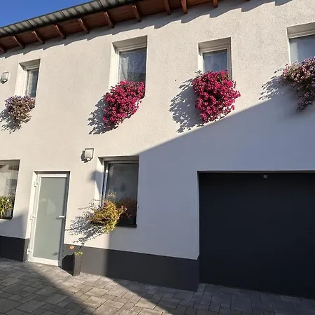 Neu! Nestblick Weilburg