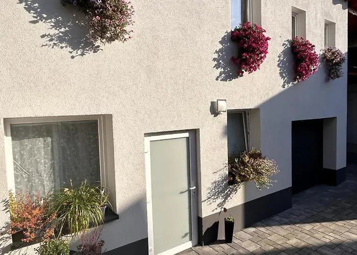 Neu! Nestblick * Weilbourg